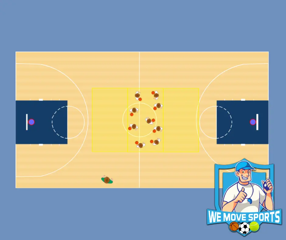King of the court
