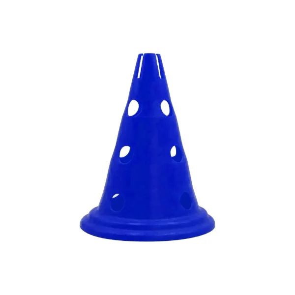 Pionnen
