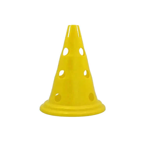 Pionnen