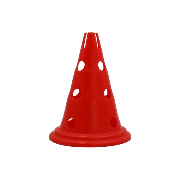 Pionnen