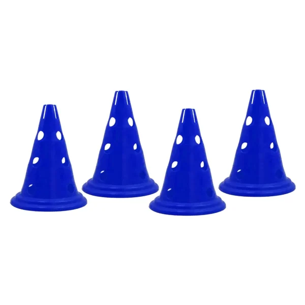 Pionnen