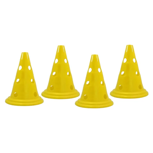 Pionnen