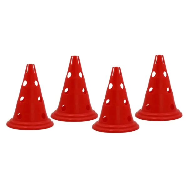 Pionnen
