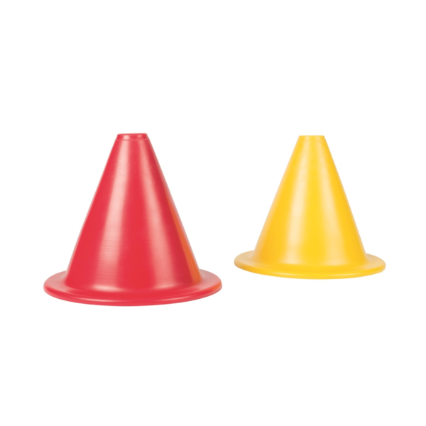 Pionnen