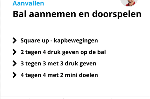 Vaardigheidstraining