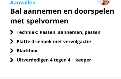 Voetbaltraining onder 14