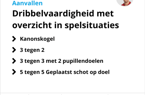 Vaardigheidstraining