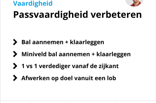 Vaardigheidstraining